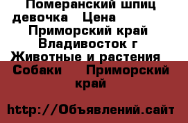 Померанский шпиц девочка › Цена ­ 45 000 - Приморский край, Владивосток г. Животные и растения » Собаки   . Приморский край